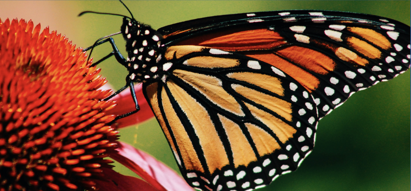 2025 Annual Impact Report Released